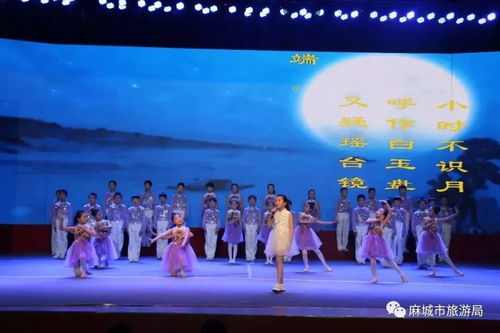 少年風(fēng)國學(xué)誦大賽精品展演暨孝善國學(xué)講堂活動圓滿成功